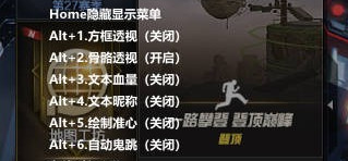 CF小鱼仙辅助-CF文本显血方框透视端游免费版